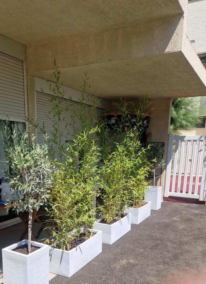 Apartment Asklan