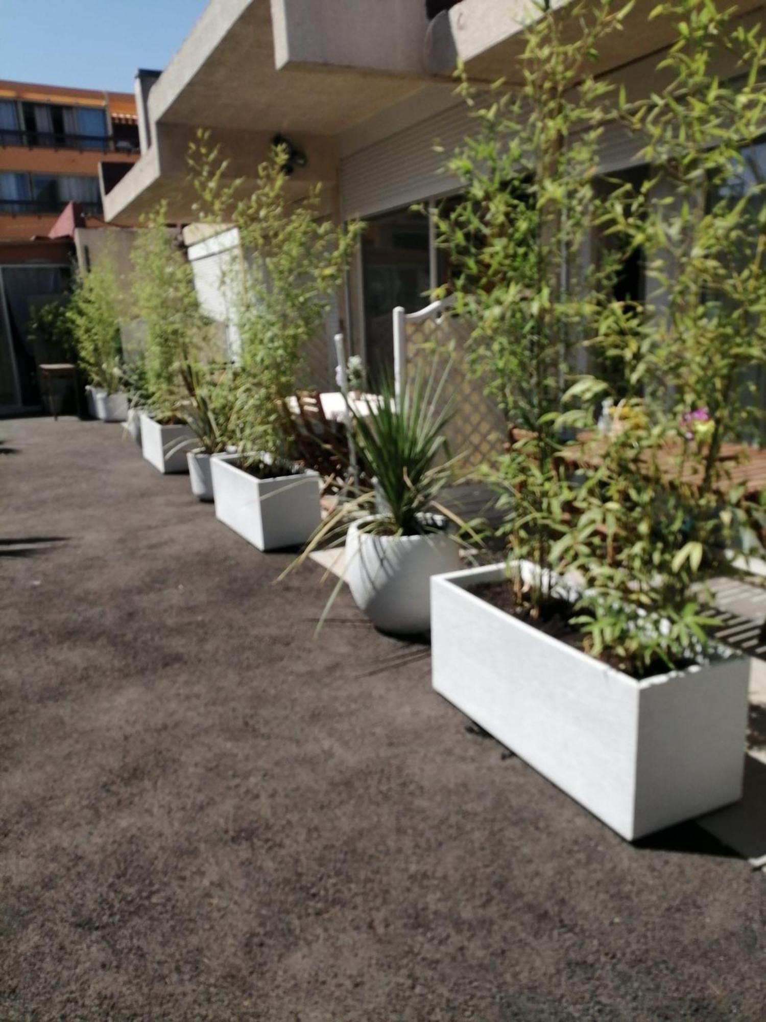 Asklan Apartment Bormes-les-Mimosas